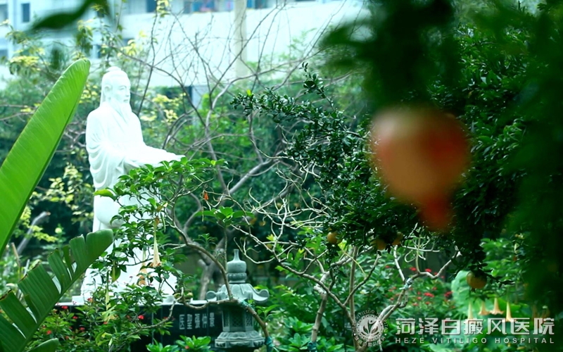 白癜风权威医院
